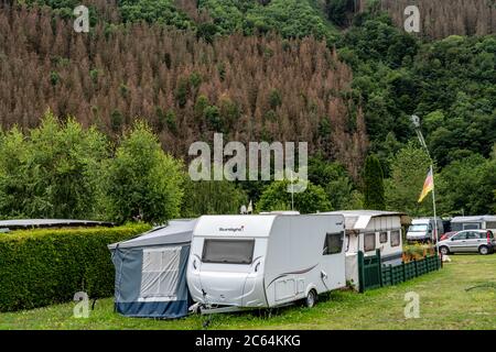 Zeltplatz in Heimbach, am Rur-Staubeckens, geschädigter Wald, Waldsterben, tote Fichten, durch den Rindenkäfer, Klimawandel, Heimbach, NRW, Ge Stockfoto