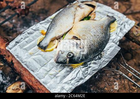 Dorado Fisch wird auf einer Folie mit Zitronen und Petersilie über heißen Kohlen aus einem Feuer gebraten - Camping Küche Stockfoto