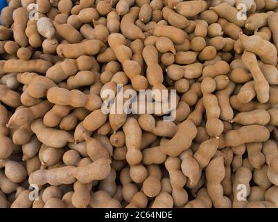 dh Tamarind Samenpfoten FRÜCHTE ASIEN Tropische Fruchtpfoten Tamarindus Indica pod Stockfoto