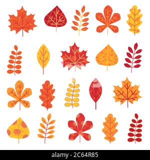 Herbstblätter auf weißem Hintergrund isoliert gesetzt Stock Vektor