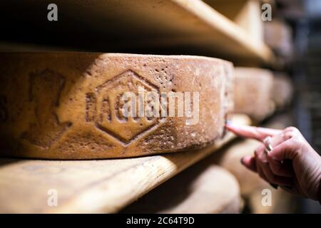 Italien, Lombardei, Val Trompia, San Colombano, Zanini-Shop, dop traditioneller Käse Stockfoto