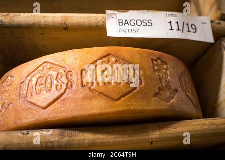 Italien, Lombardei, Val Trompia, San Colombano, Zanini-Shop, dop traditioneller Käse Stockfoto