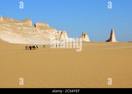 Sahara, Ägypten - 26. Dezember 2008: Gruppe von Touristen und lokalen Guides mit Kamel durch den Sand in der Sahara. Ägypten, Afrika Stockfoto