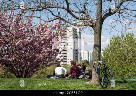 Italien, Lombardei, Mailand, Bicocca, Collina dei Ciliegi Park Stockfoto