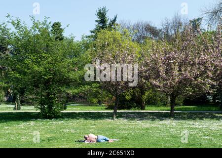 Italien, Lombardei, Mailand, Quarto Oggiaro, Villa Scheibler Park Stockfoto