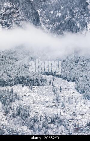 Schneefall im Winter von Manali in Himachal Pradesh, Indien Stockfoto