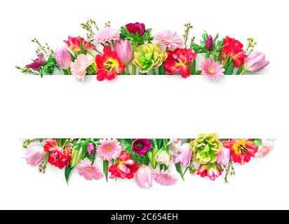 Bunte Frühlingsblumen auf weiß isoliert. Draufsicht mit Kopierbereich Stockfoto