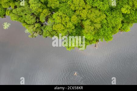 Trossachs, Schottland, Großbritannien. Juli 2020. Lorna Wilkie, die normale Wildschwimmerin, wird in Loch Chon in den Trossachs in Schottland beim Schwimmen gesehen. Mit der Aufhebung der Reisebeschränkungen von covid-19 reisen Wildschwimmer zu ihren Lieblingsseen und Lochs, um die Freiheit, Einsamkeit und Heiterkeit zu suchen, die ihr Sport bietet. Iain Masterton/Alamy Live News Stockfoto