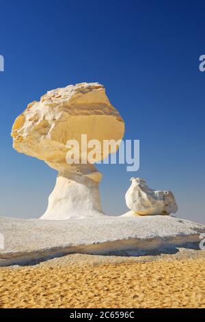 Die Kalksteinformation wie ein Pilz und ein Huhn in der Weißen Wüste, Sahara, Ägypten Stockfoto