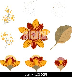 Set von Elementen Vintage Botanical Illustration. Blume auf einem Stiel mit Blättern und Knospen. Retro-Farbpalette. Stock Vektor