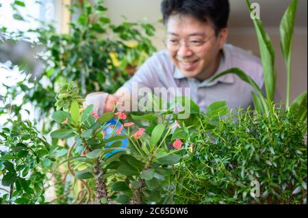 Ein asiatischer Mann mittleren Alters, der lächelt, während er sich um ein Blumenbett zu Hause kümmert. Stockfoto