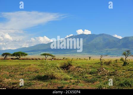 Landschaft Tansanias. Grüne Hügel Afrikas und masai Dorf in Serengeti Stockfoto