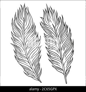 Vektorset „Vintage Feather“. Handgezeichnete Illustration. Stock Vektor