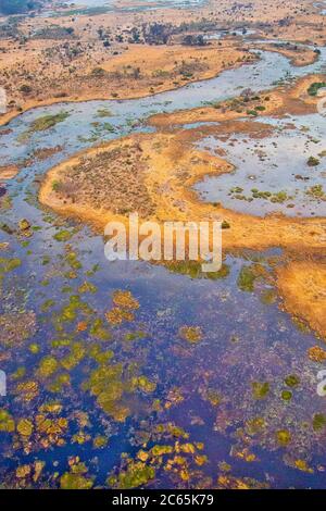 Luftaufnahme, Okavango Delta, Botswana, Afrika Stockfoto