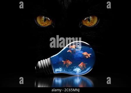 Katze Augen Blick auf eine Fischschale in Form eines Lichtblechs, Jagd Idee. 3D-Illustration Stockfoto