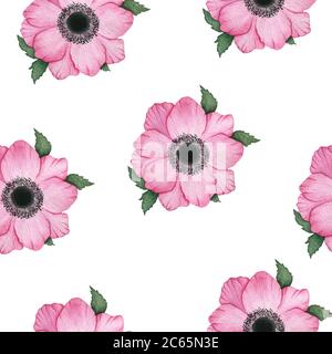 Rosa Anemone Blumen nahtlose Hintergrund, Retro-floral-Design für Hintergründe, Verpackung oder Stoff, hell und schön Aquarell floral Stockfoto