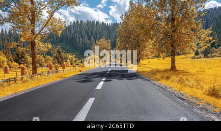 Landstraße zwischen der herbstlichen Landschaft. Stockfoto