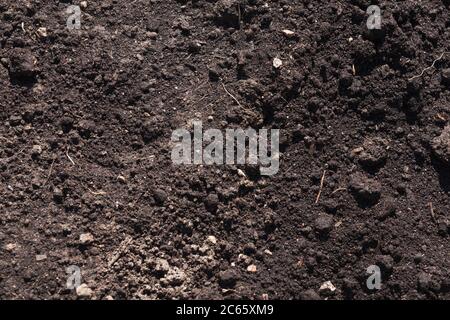 Chernozem Art der Erde, Hintergrund Foto Textur Stockfoto