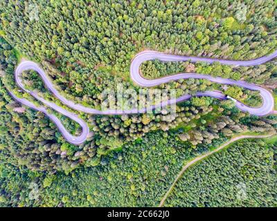 Blick von oben auf kurvenreiche Straße im grünen Wald, Autos auf der Straße von oben Stockfoto