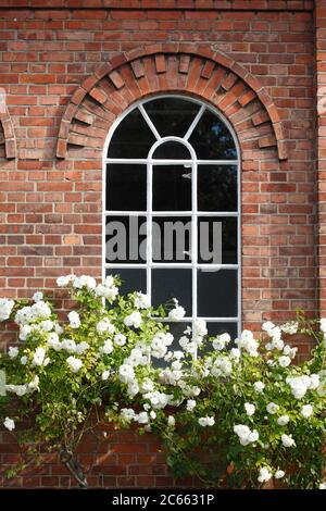 Fenster, Industriedenkmal Nordwolle, Delmenhorst, Niedersachsen, Deutschland, Europa Stockfoto