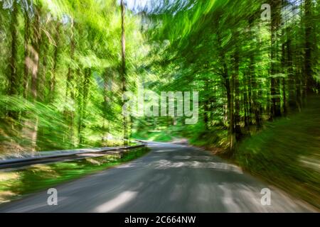 Landstraße führt durch einen grünen Wald, verschwommen, Stockfoto