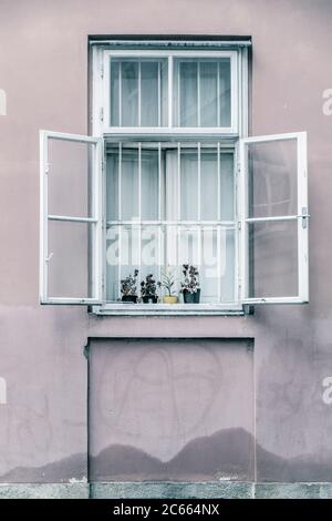 Fenster mit Blumenbechern auf einer Fensterbank in Wien, Österreich geöffnet Stockfoto