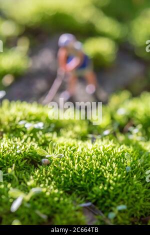 Junger Mann, der auf grünem Gras arbeitet Stockfoto
