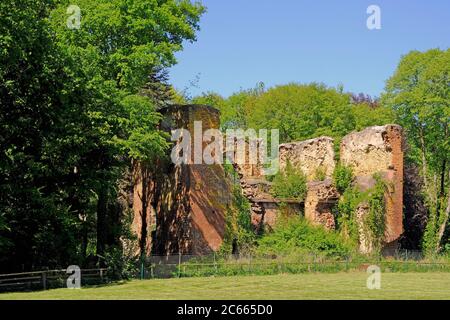 Deutschland, Nordrhein-Westfalen, Rahden, Schloss Rahden, Burgruine Stockfoto