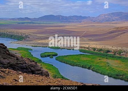 Blick von einem Felsen auf das reedy Flussbett des Grenzflusses Oranje zwischen Namibia und Südafrika. Stockfoto