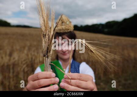 07. Juli 2020, Sachsen, Großweitzschen: Elisabeth Dreher, sächsische Erntekönigin, zeigt Ohren von Wintergerste. Das linke, aufrecht stehende wird durch Spätfrost durch den sogenannten Taub-Ährigkeit beeinflusst, reife und gesunde Ohren hängen wegen des Gewichts der Körner herunter. Foto: Sebastian Willnow/dpa-Zentralbild/dpa Stockfoto