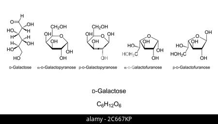 Chemische Struktur von Galactose