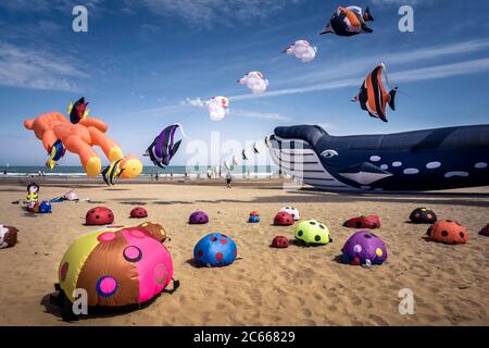 Viele bunte Drachen über Narbonne Plage im Frühjahr, europäischen Wettbewerb, Stockfoto