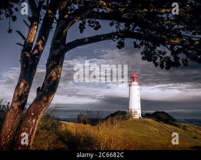 Leuchtturm Dornbusch auf Hiddensee im dramatischen Abendlicht Stockfoto