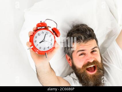 Mann mit glücklichen Gesicht liegt auf dem Kissen, hält Wecker. Morgens und Aufwachen Konzept. Mann fühlt sich gut, bereit aufzustehen, weißer Hintergrund, Draufsicht, Nahaufnahme. Hipster, Bart und Schnurrbart, voller Energie. Stockfoto