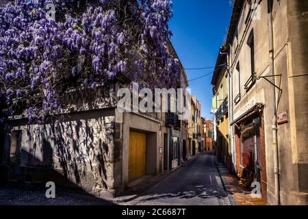 Gasse im Zentrum des Dorfes Ille sur Têt, Glyzinien bedecktes Haus im Frühjahr, Stockfoto