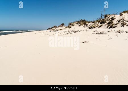 Polen, Slowenischer Nationalpark, Ostseeküste, treibend Düne, verlassen Stockfoto