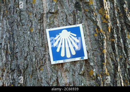 Ostsee Küstenfahrradweg R10, Straßenmarkierung, bei Leba Stockfoto