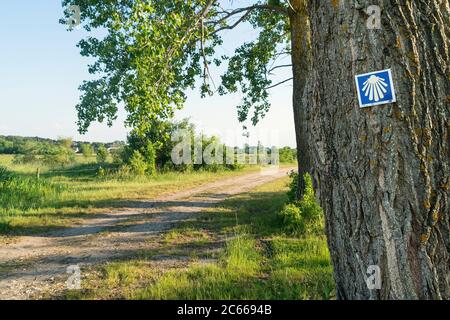 Ostsee Küstenfahrradweg R10, Straßenmarkierung, bei Leba Stockfoto