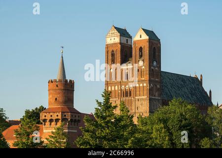 Uckermark, Prenzlau, zentraler Torturm, Marienkirche Stockfoto