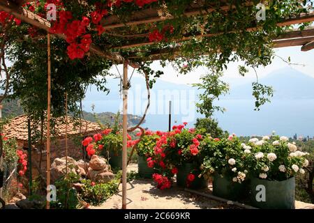 Griechenland, peleponnes, Pergola mit Blumen am Meer, Bougainvillea Stockfoto