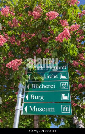 Wegweiser zum Schloss und Museum in Tittmoning, Rupertiwinkel, Oberbayern, Bayern, Süddeutschland, Deutschland, Europa Stockfoto