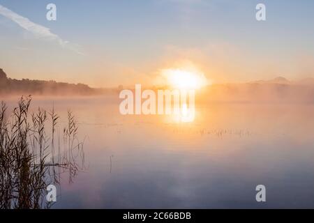 Sonnenaufgang am Staffelsee, Uffing am Staffelsee, Oberbayern, Bayern, Süddeutschland, Deutschland, Europa Stockfoto