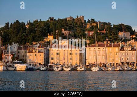 Hafen mit Altstadt und historischer Stadtmauer im Abendlicht, Piran, Slowenisches Küstenland, Istrianische Halbinsel, Slowenien Stockfoto