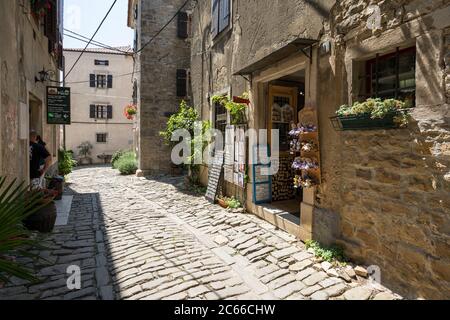 Schmale Straße in der Bergdorf Groznjan, Istrien, Kroatien Stockfoto