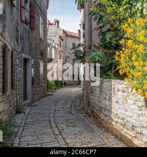 Schmale Straße in der Altstadt von Bale, Istrien, Kroatien Stockfoto