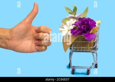 Verschiedene Blumen in Mini-Einkaufswagen oder Warenkorb neben Frau Hand mit den Daumen-up auf die Kamera auf blauem Hintergrund. Konzept Muttertag, Frauen Stockfoto