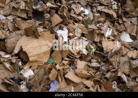 Stapel aus Karton und Papier in einer Recyclingfabrik in Liverpool, England, Großbritannien. Stockfoto