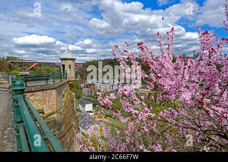 Alzette-Tal mit der Großherzogin Charlotte-Brücke, Luxemburg-Stadt, Luxemburg Stockfoto