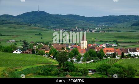 Burkheim am Kaiserstuhl, Baden-Württemberg Stockfoto