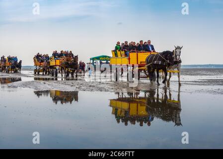 Deutschland, Niedersachsen, Cuxhaven, Neuwerk, Wattenmeer, Wattmeer, Pferdekutschen Stockfoto
